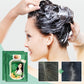 🔥Offerta a tempo limitato🔥 Shampoo colorante per capelli Plant Bubble
