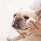 Salviette Antilacrima Per Animali Domestici E Un Buon Compagno Per Gli Animali Domestici