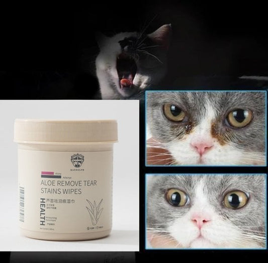 Salviette Antilacrima Per Animali Domestici E Un Buon Compagno Per Gli Animali Domestici