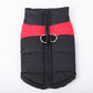 🐕Winter Warme Wasserdichte Hundeweste mit Reißverschluss (Gr.S-7XL)✨Kaufen 2 Bekommen 15% Rabatt✨