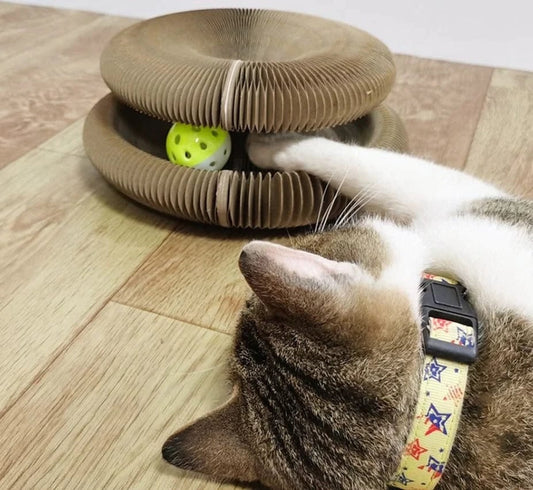 Tuttagioia tiragraffi per gatti
