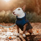 🐶Neujahrsverkauf 49 % RABATT🐾Wasserdichter Warmer Multifunktionaler Hundemantel