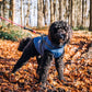 🐶Neujahrsverkauf 49 % RABATT🐾Wasserdichter Warmer Multifunktionaler Hundemantel