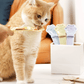 🐾🍽️Mangiastrisce per Gatti